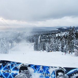 Meet your Posher, Daniel